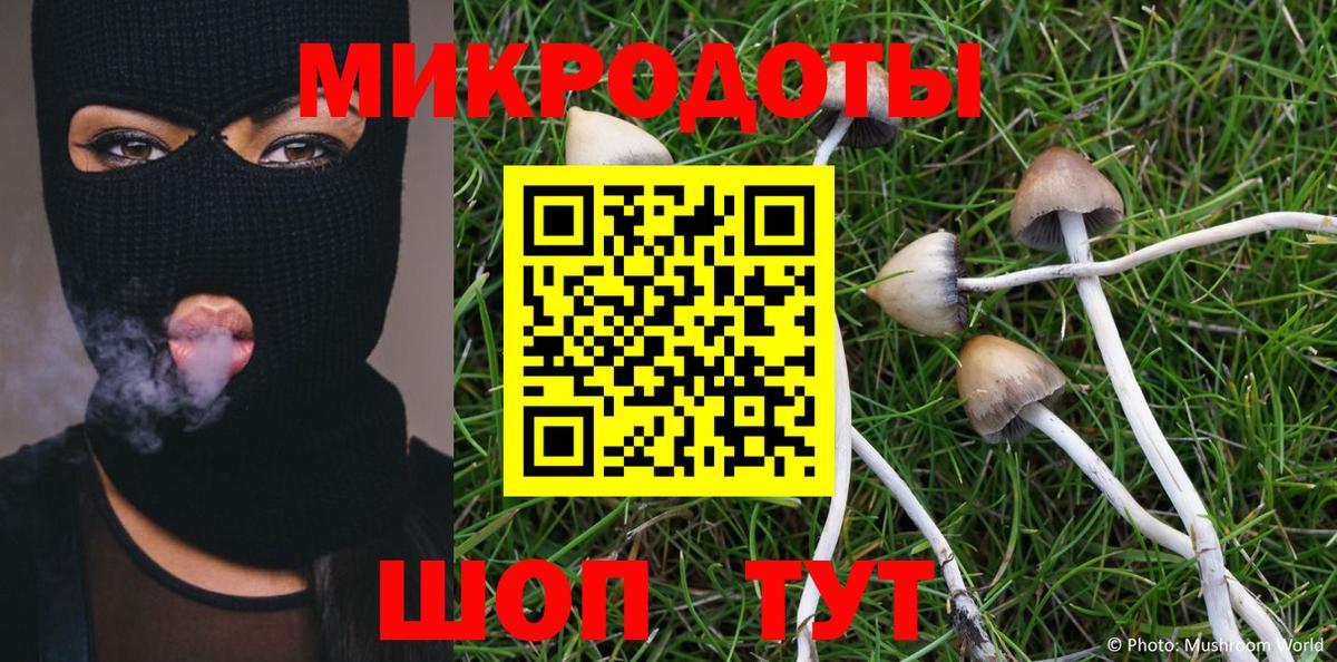 Галлюциногенные грибы Psilocybine cubensis Кинель