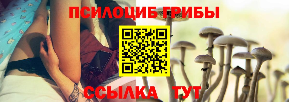 Псилоцибиновые грибы Magic Shrooms  Вход с VPN  Кинель 