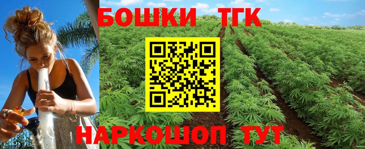 Канабис планчик Кинель
